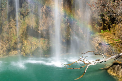 Scenic view of waterfall in forest