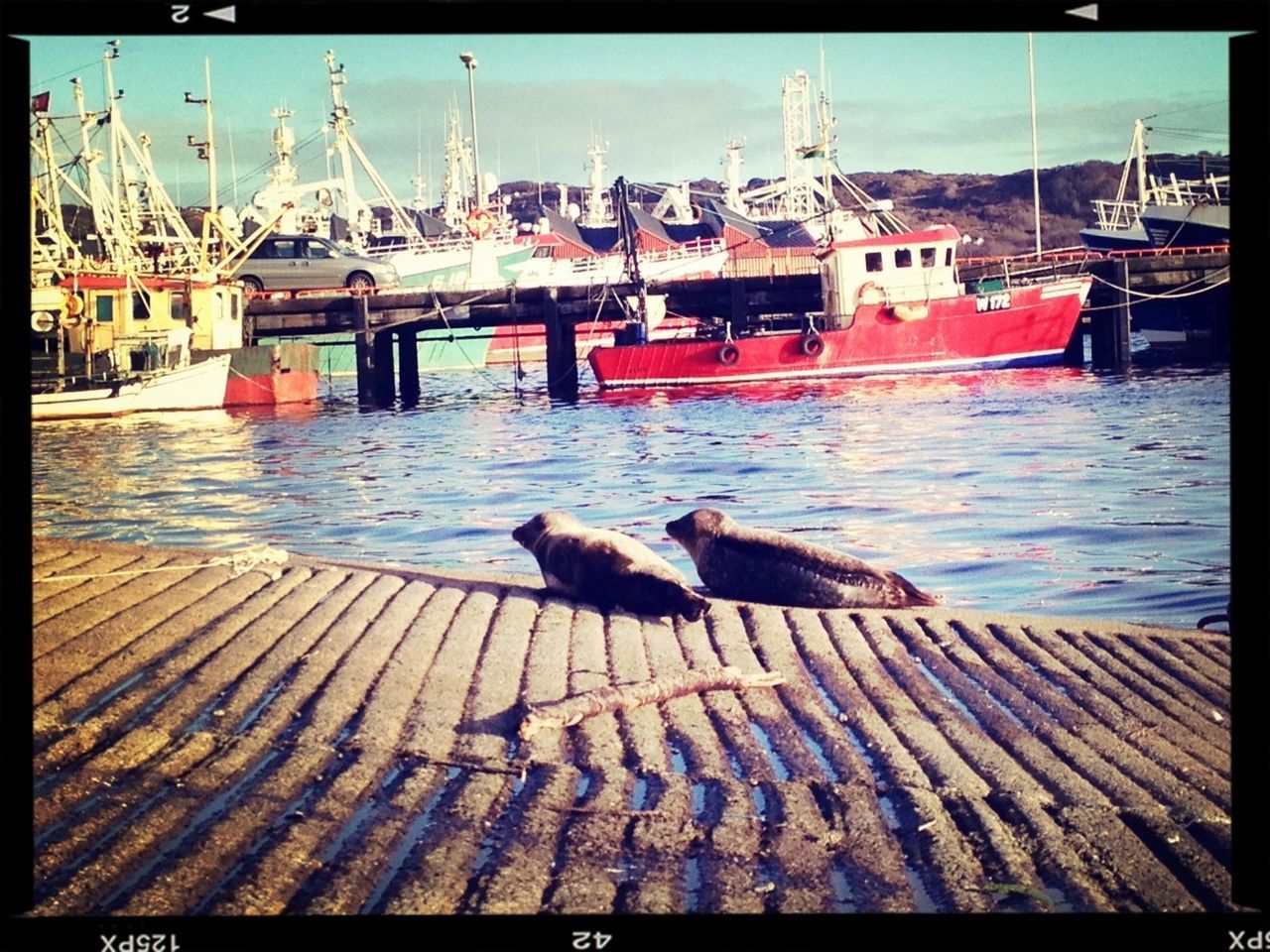 transfer print, animal themes, water, bird, auto post production filter, one animal, nautical vessel, wildlife, pier, sea, animals in the wild, harbor, transportation, moored, rippled, boat, outdoors, sunlight, river, day