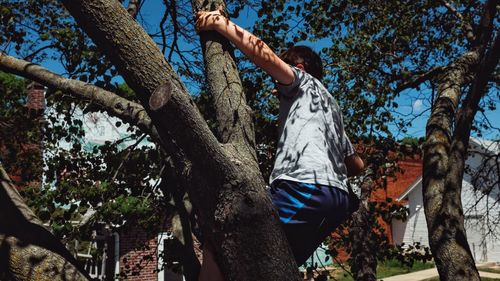 Low angle view of man by tree against sky