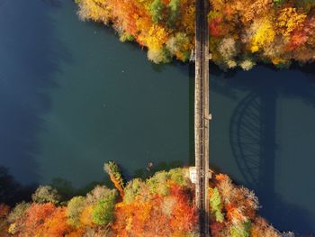 Scenic view of lake by trees during autumn