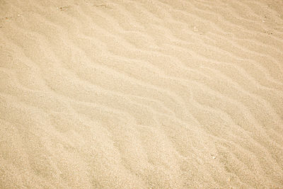 Full frame shot of sand dune