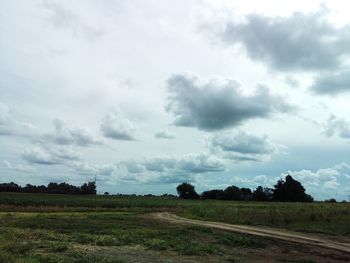 Scenic view of field against sky