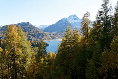 Scenic view of trees and mountains against clear sky