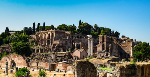 Ancient ruins of the roman forum