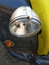 High angle view of fish in bowl on table