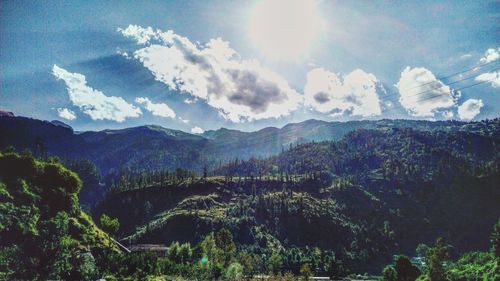 Panoramic view of forest against sky