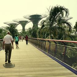 People walking on road