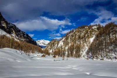 Trees on snow covered mountains against sky