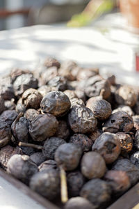 Close-up of fresh and ripe walnuts.