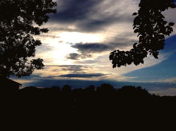 Silhouette of trees at sunset