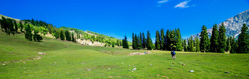 Beautiful mountain landscape of sonamarg, jammu and kashmir state, india