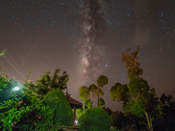 Low angle view of trees against sky at night