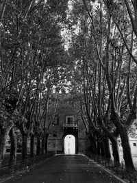 Empty road along trees