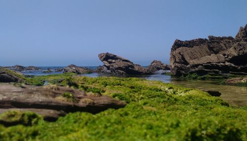 Surface level of rocks by sea against clear sky