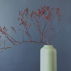 Low angle view of flowering plant on table against blue sky