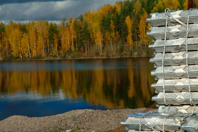 Scenic view of lake by trees against sky