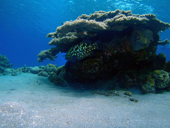 Rocks on rock formation