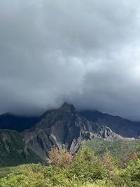 nature