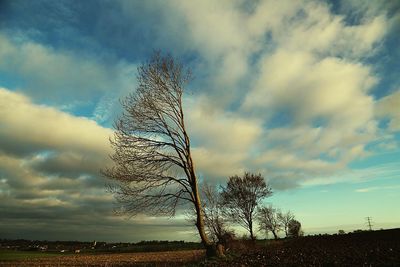 Low angle view of bare trees on field against cloudy sky