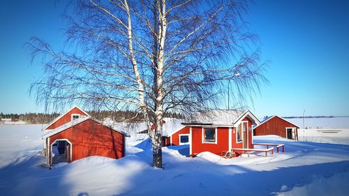 Snow covered houses and trees against blue sky