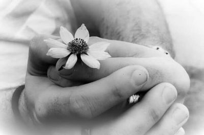 Close-up of hand holding flower