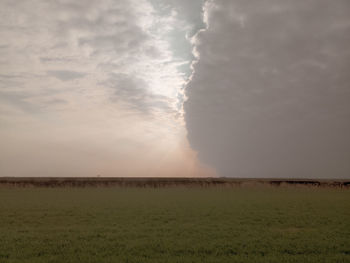 Scenic view of field against sky