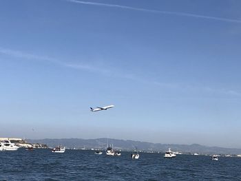 Sailboats in sea