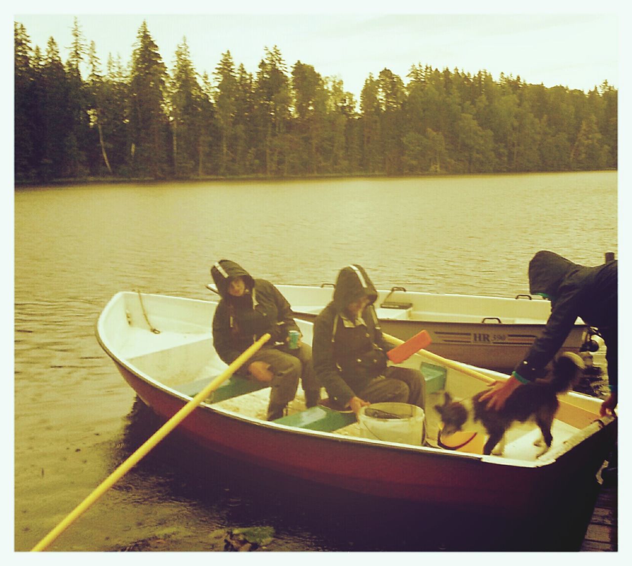 water, transfer print, lake, nautical vessel, animal themes, sitting, auto post production filter, transportation, boat, mode of transport, tree, nature, men, river, duck, moored, day, one animal, outdoors
