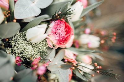 Close-up of flowers