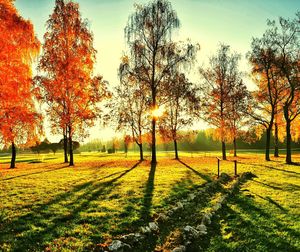 Scenic view of field against sky during autumn