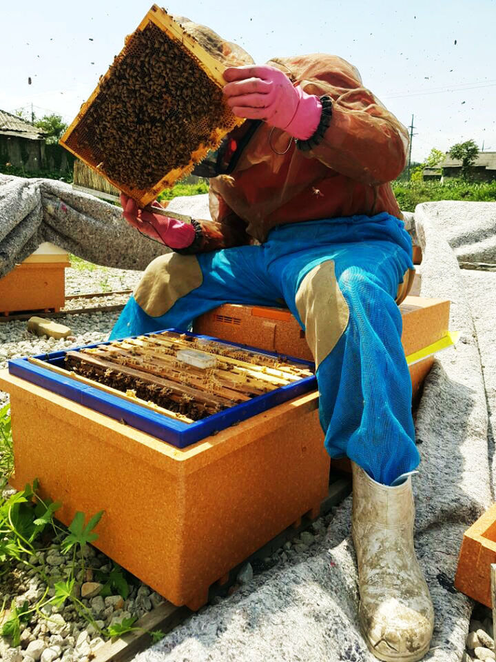 LOW ANGLE VIEW OF WOMAN SITTING ON FIELD AGAINST BUILDING