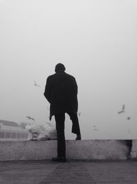 Rear view of woman standing by railing