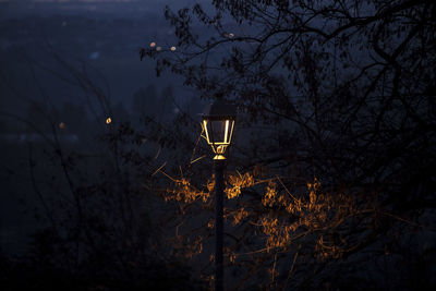 Low angle view of illuminated street light at night