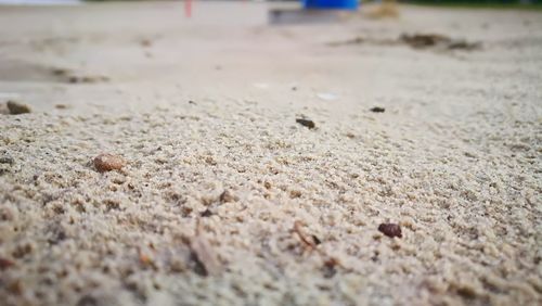 Close-up of sand