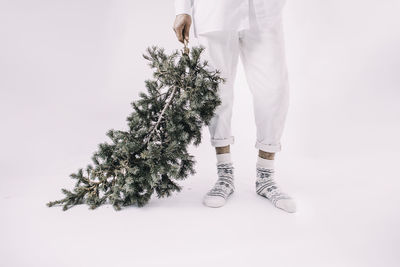 Stylish man in white trousers, socks hold christmas tree, fir. minimal fashion festive  concept
