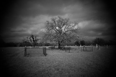 Bare trees on field against cloudy sky