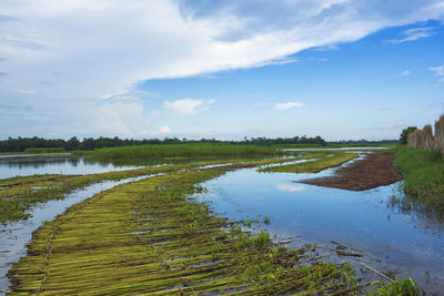 Scenic view of lake against sky