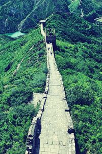 Narrow walkway in park