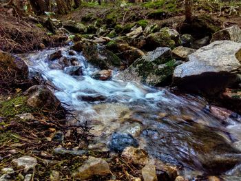 Stream flowing through rocks in forest