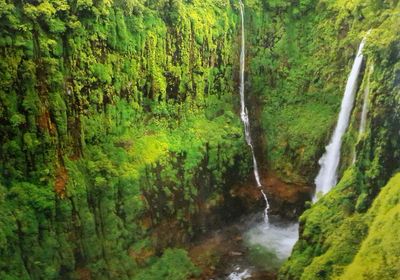 Scenic view of waterfall in forest