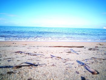 Scenic view of beach against clear blue sky