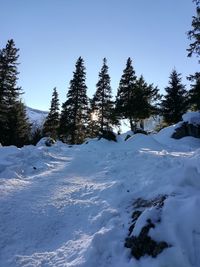 Snow covered land and trees against sky