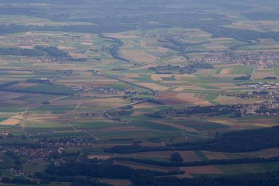 High angle view of agricultural field