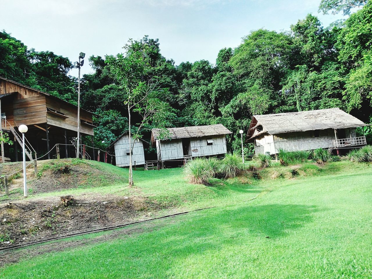 built structure, architecture, building exterior, house, tree, residential structure, residential building, road, green color, rural scene, day, growth, sky, outdoors, nature, solitude, no people, green, countryside, remote, country house, residential district, non-urban scene