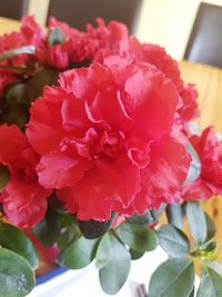 Close-up of rose bouquet