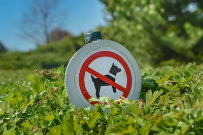 Close-up of road sign against plants