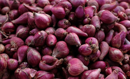 Red onions - large quantities of red onions in the basket