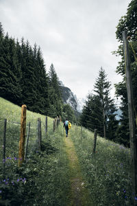 Rear view of man walking on grass against sky