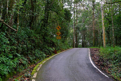 Road amidst trees in forest