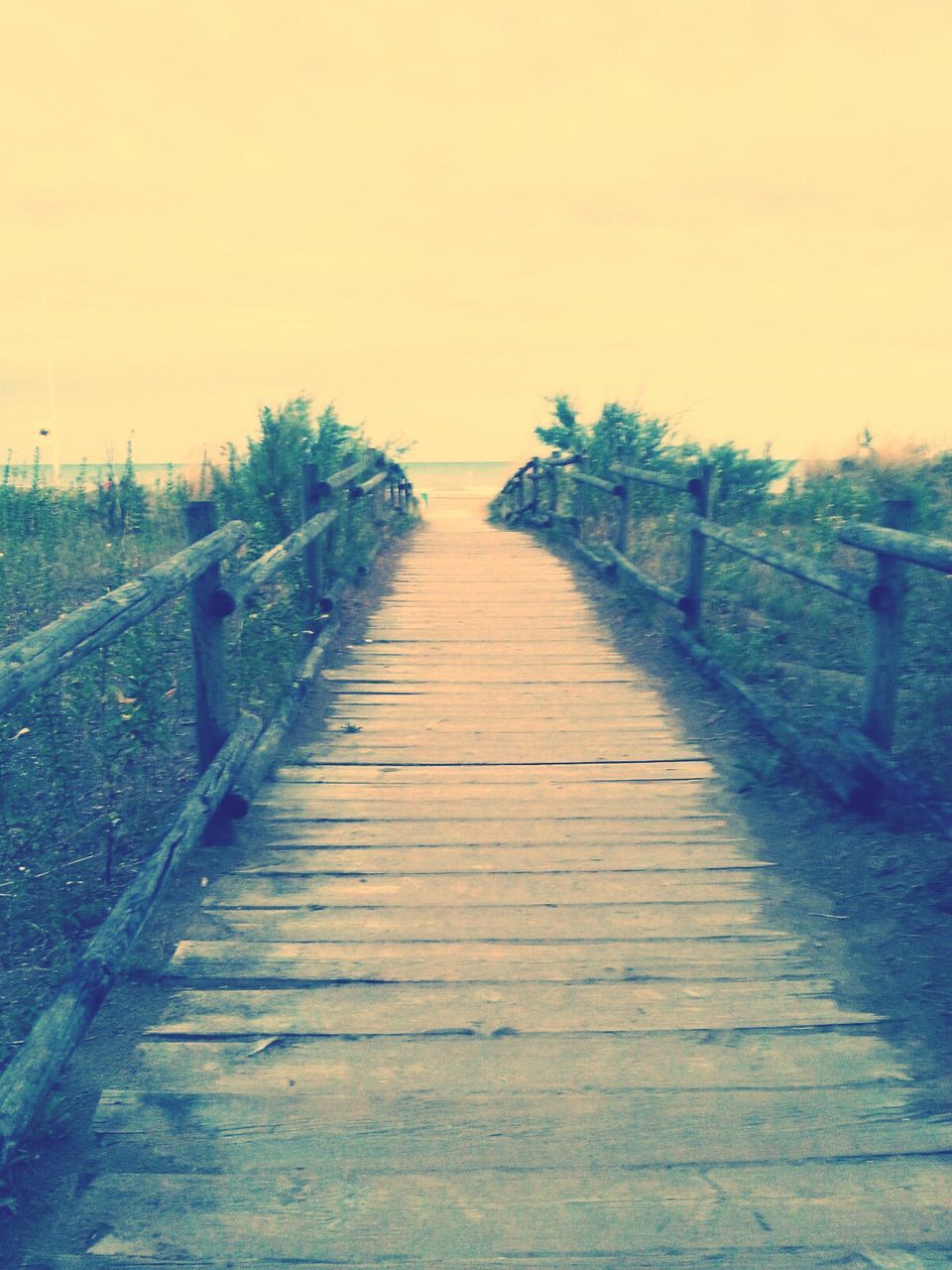 the way forward, tranquility, tranquil scene, railing, clear sky, nature, beauty in nature, tree, boardwalk, sky, scenics, growth, wood - material, diminishing perspective, sunset, plant, fence, outdoors, water, no people